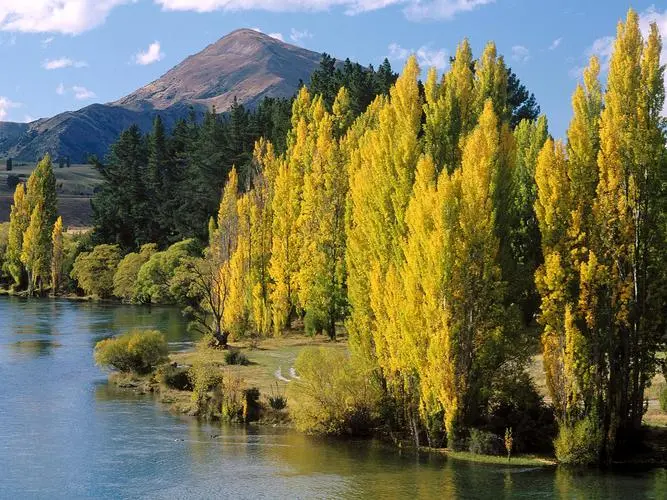 节能网络化无人化